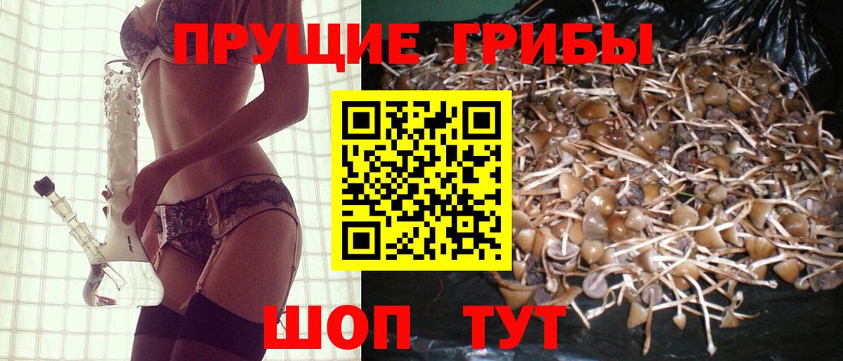 Псилоцибиновые грибы Psilocybine cubensis Борисоглебск